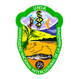 Logo de Universidad Nacional de la Amazonía Peruana